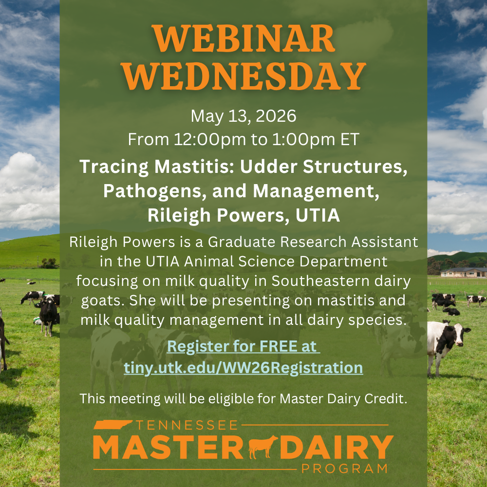 webinar flyer graphic
